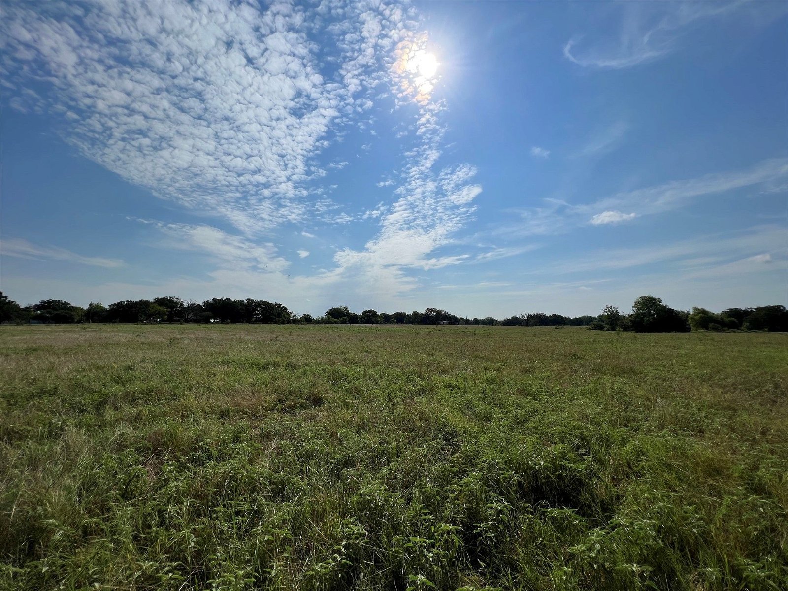 Real estate property located at 0000 Hwy 75s, Madison, Madisonville, TX, US