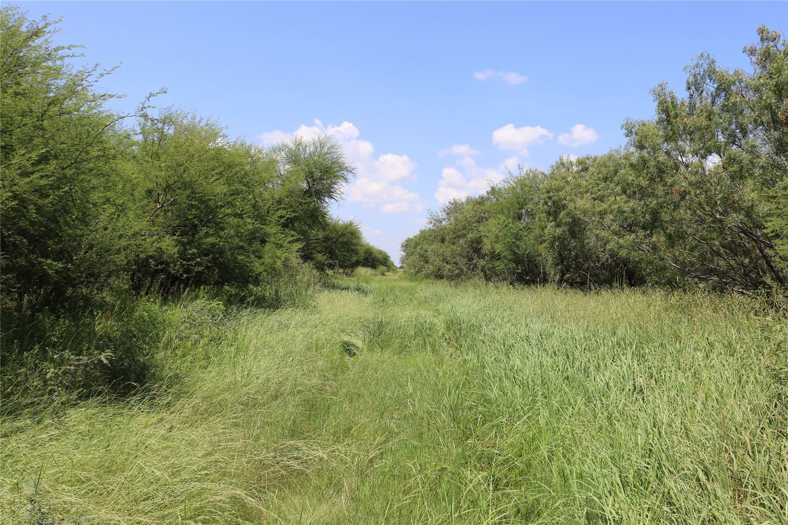 Real estate property located at TBD County Road 2367, San Patricio, none, Sinton, TX, US