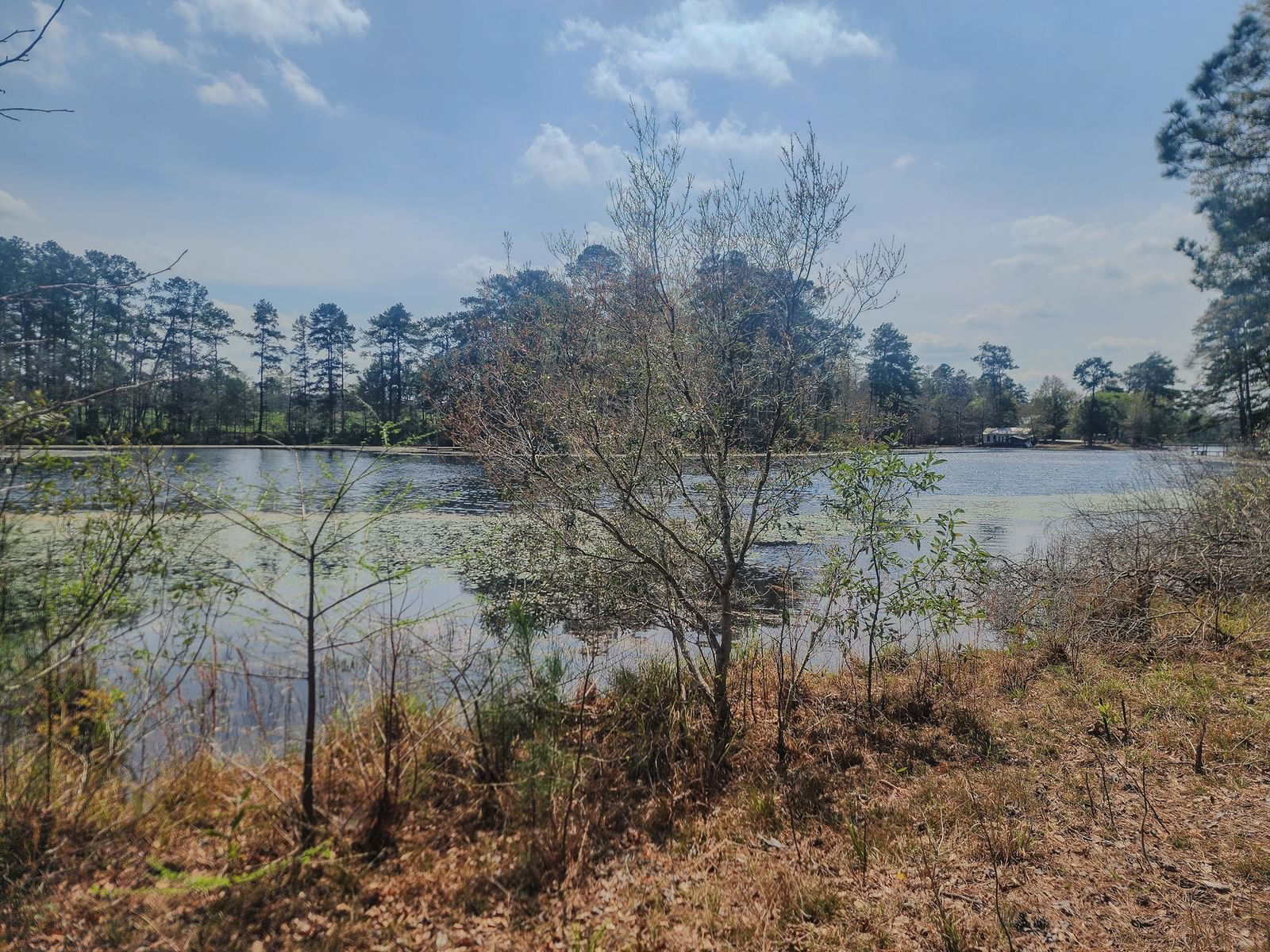 Real estate property located at 530 County Road 4210, Tyler, Deerlake Resort, Woodville, TX, US