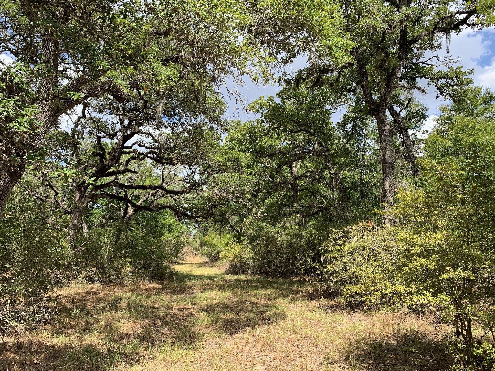Real estate property located at 000 County Road 158, Lavaca, Hallettsville, TX, US