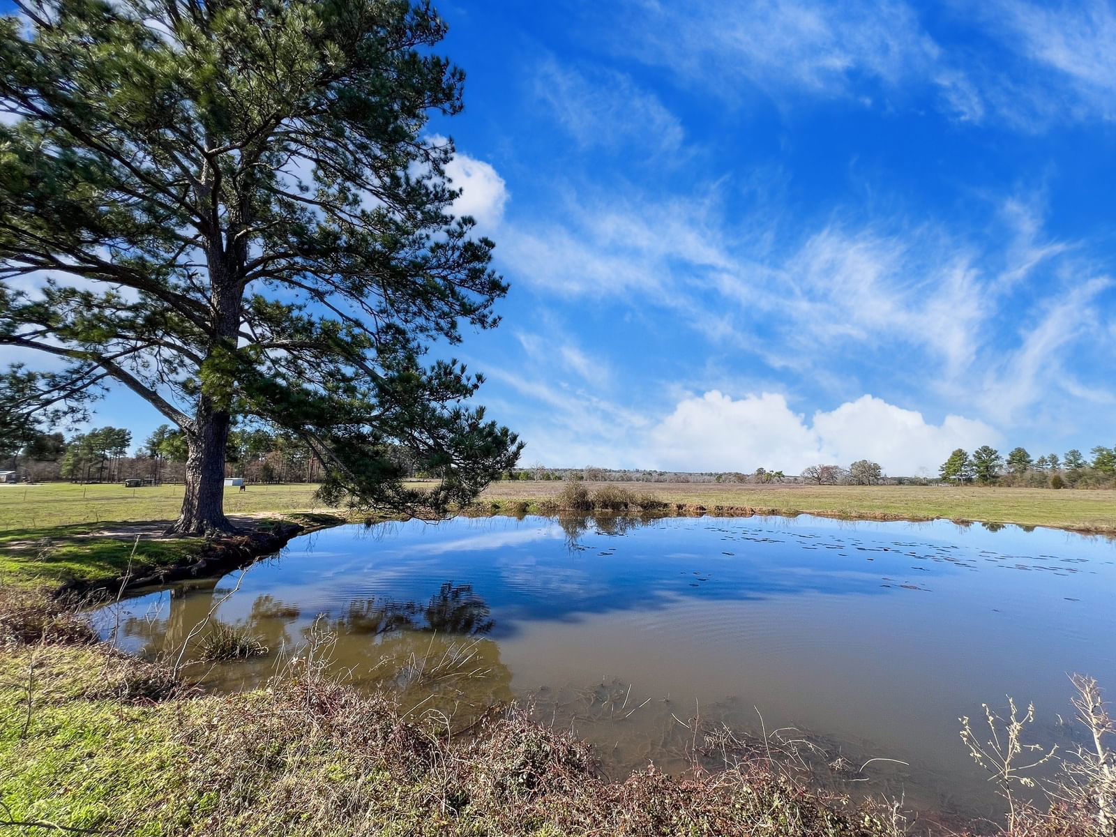 Real estate property located at TBD County Rd 216, Grimes, n/a, Richards, TX, US