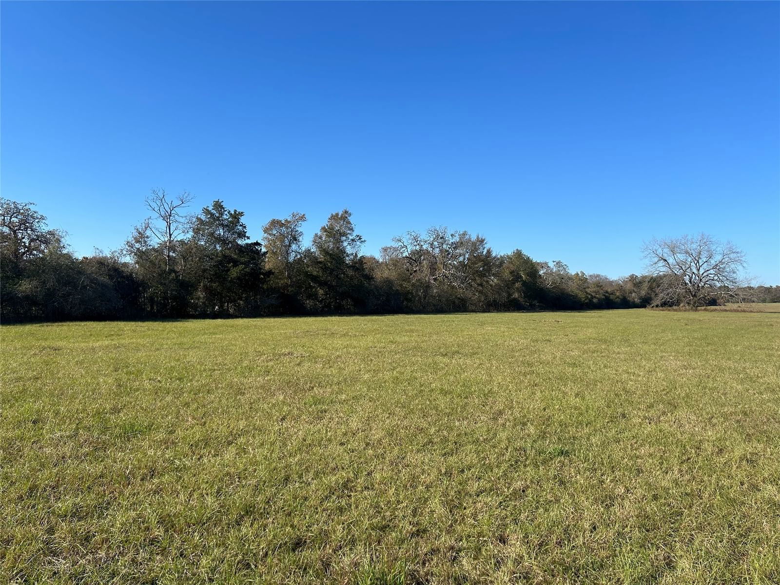 Real estate property located at 00 Fm-1736, Waller, NONE, Hempstead, TX, US