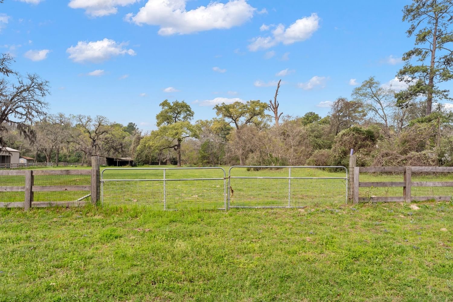 Real estate property located at TBD Spring Dr, Montgomery, Spring Creek Estate, Hockley, TX, US