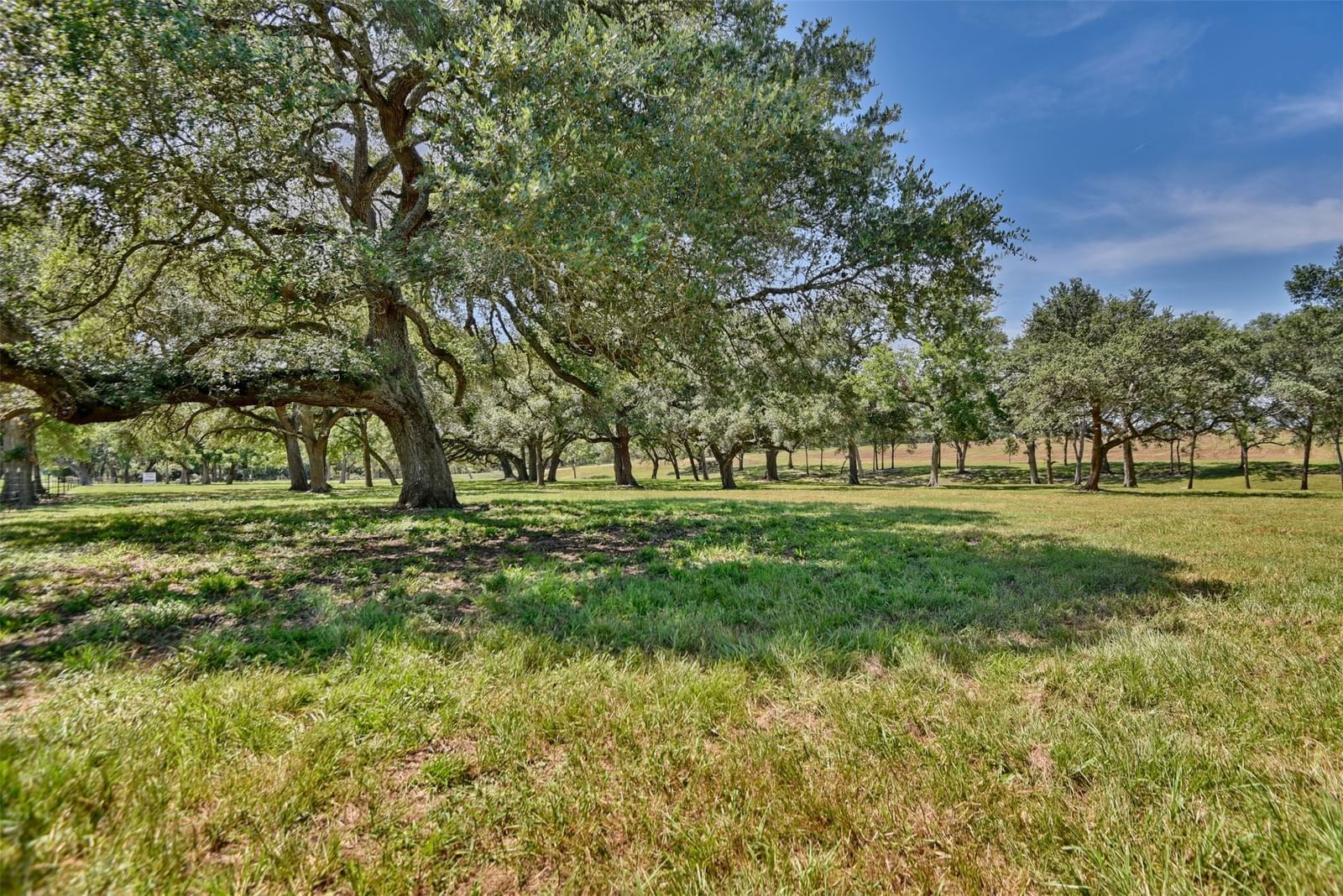 Real estate property located at 2021 FM 2144, Colorado, NA, Weimar, TX, US