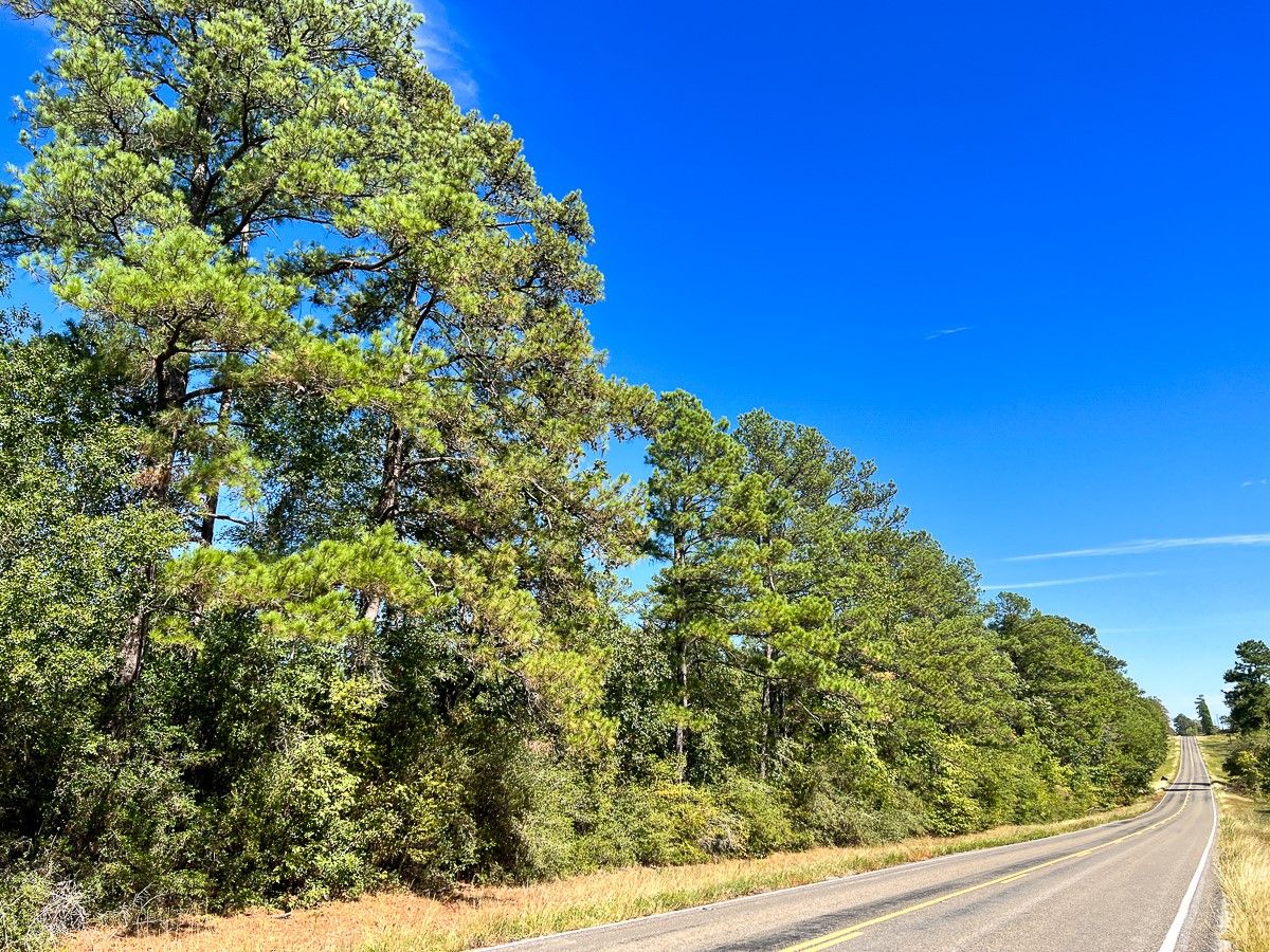 Real estate property located at 0 Fm 2989, Walker, Midway, TX, US