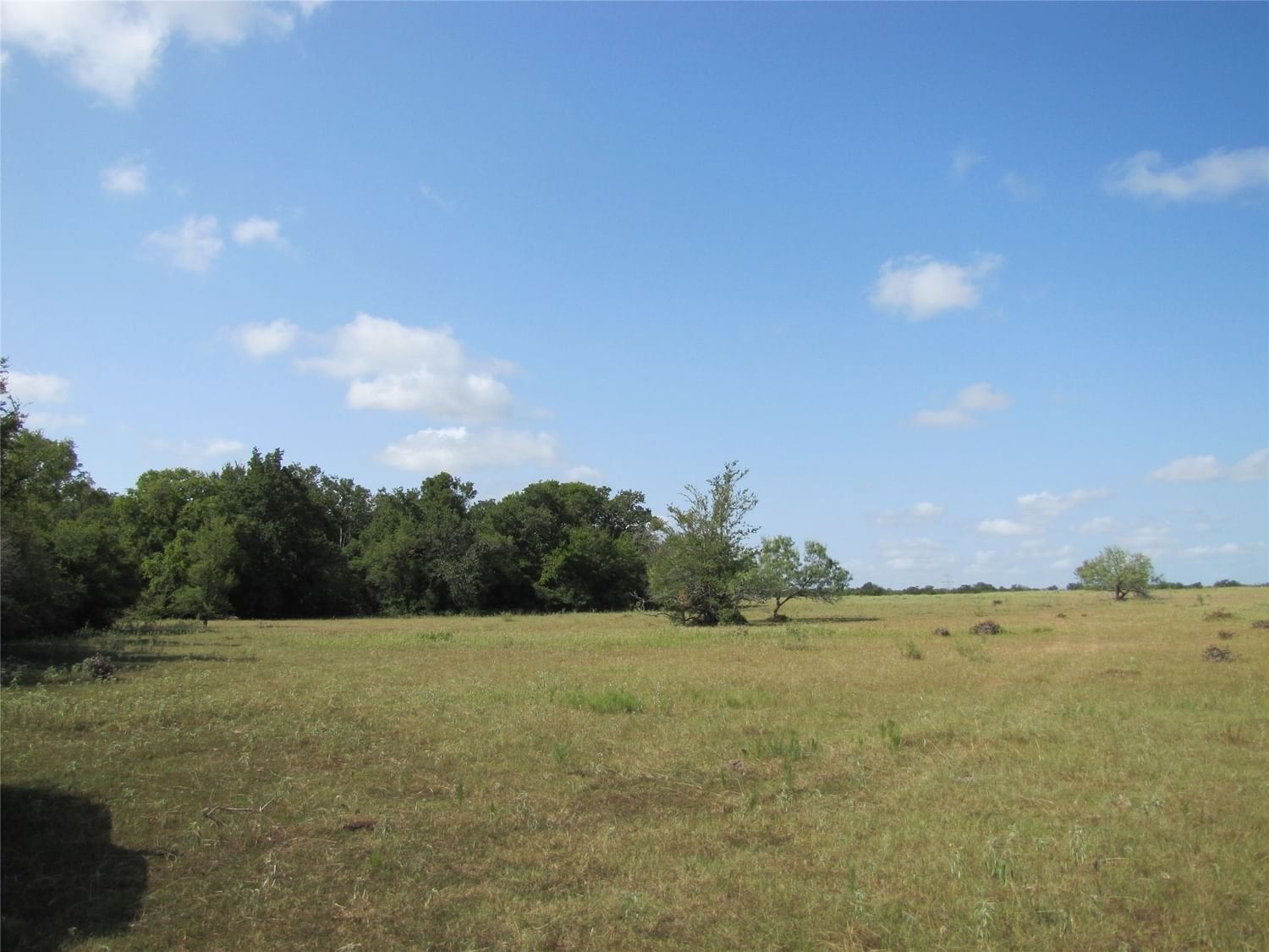 Real estate property located at Tract 15 County Road 123, Grimes, Bedias, TX, US