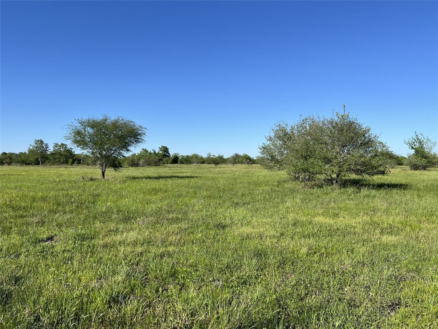 Real estate property located at 0 County Road 26, Brazoria, J A E PHELPS, Damon, TX, US