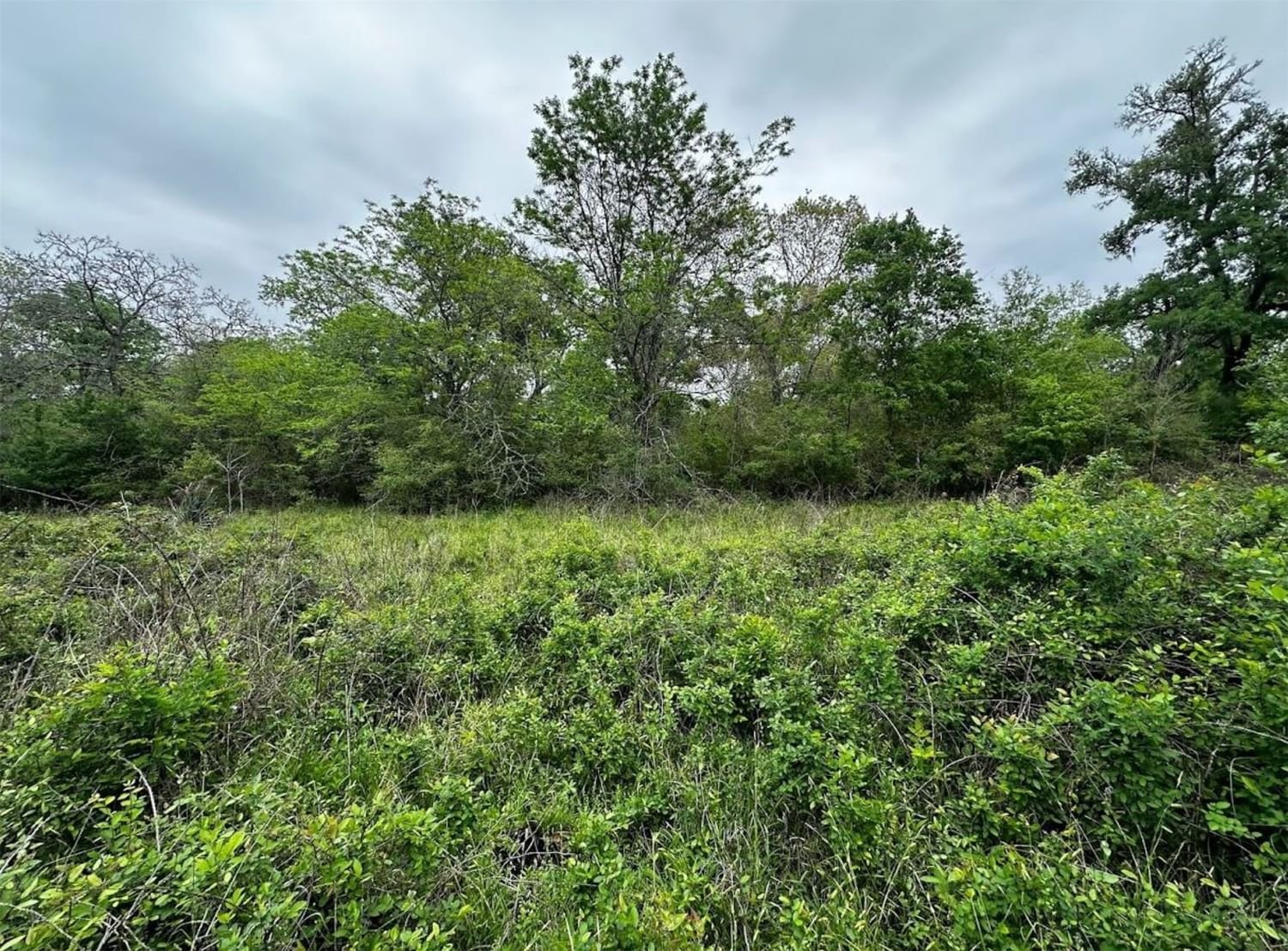 Real estate property located at (TBD) County Road 740, Brazoria, Shipman & Charles, Sweeny, TX, US