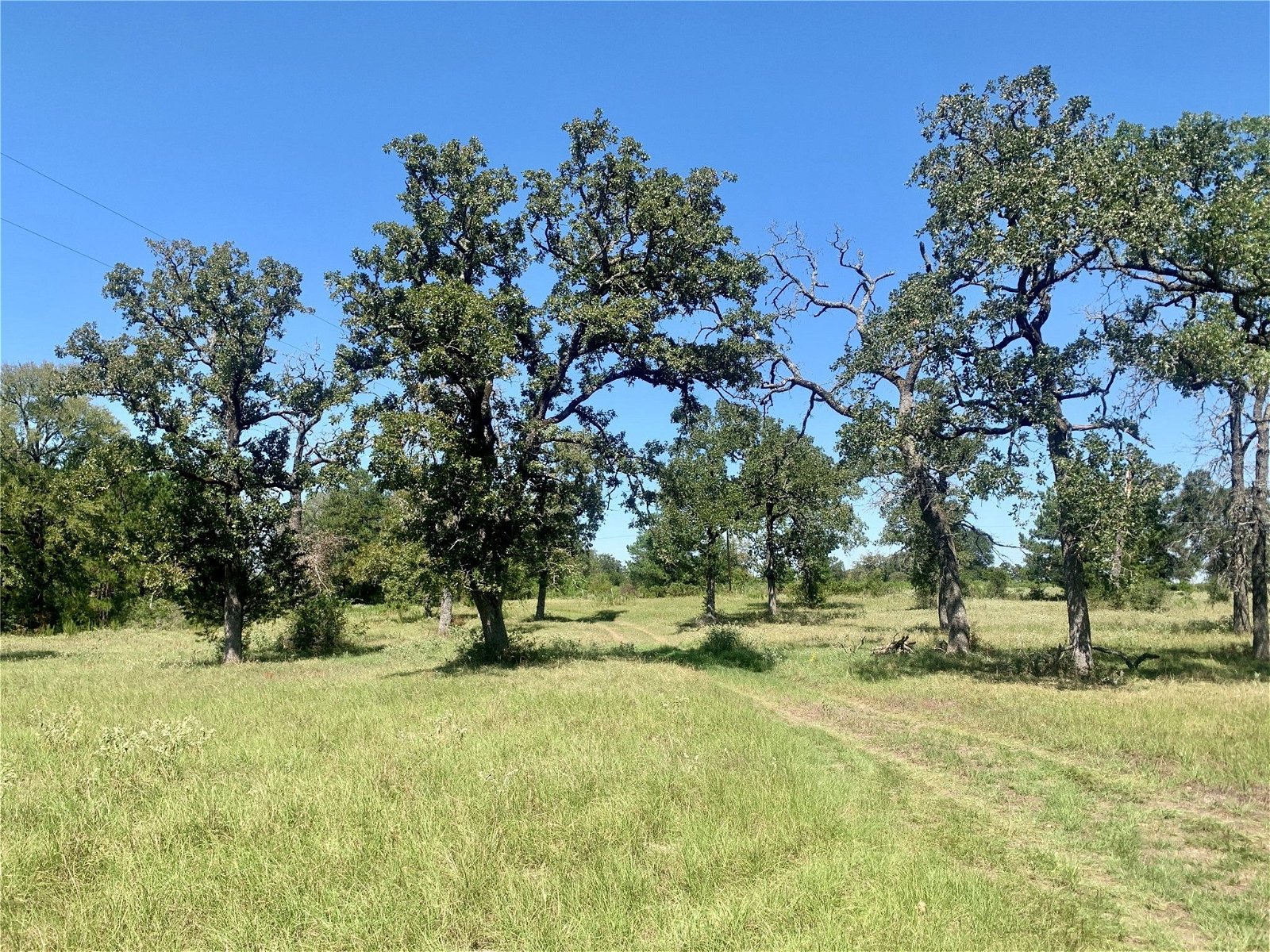 Real estate property located at 000 County Road 137, Grimes, Bedias, TX, US