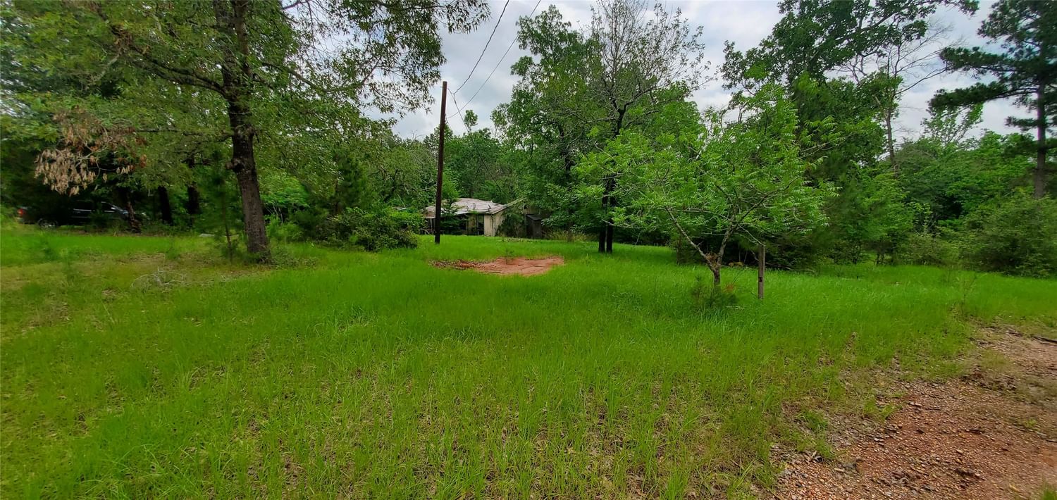 Real estate property located at 1336 Darrel Hall, Trinity, Lake L Acres Sec C New Platt, Trinity, TX, US