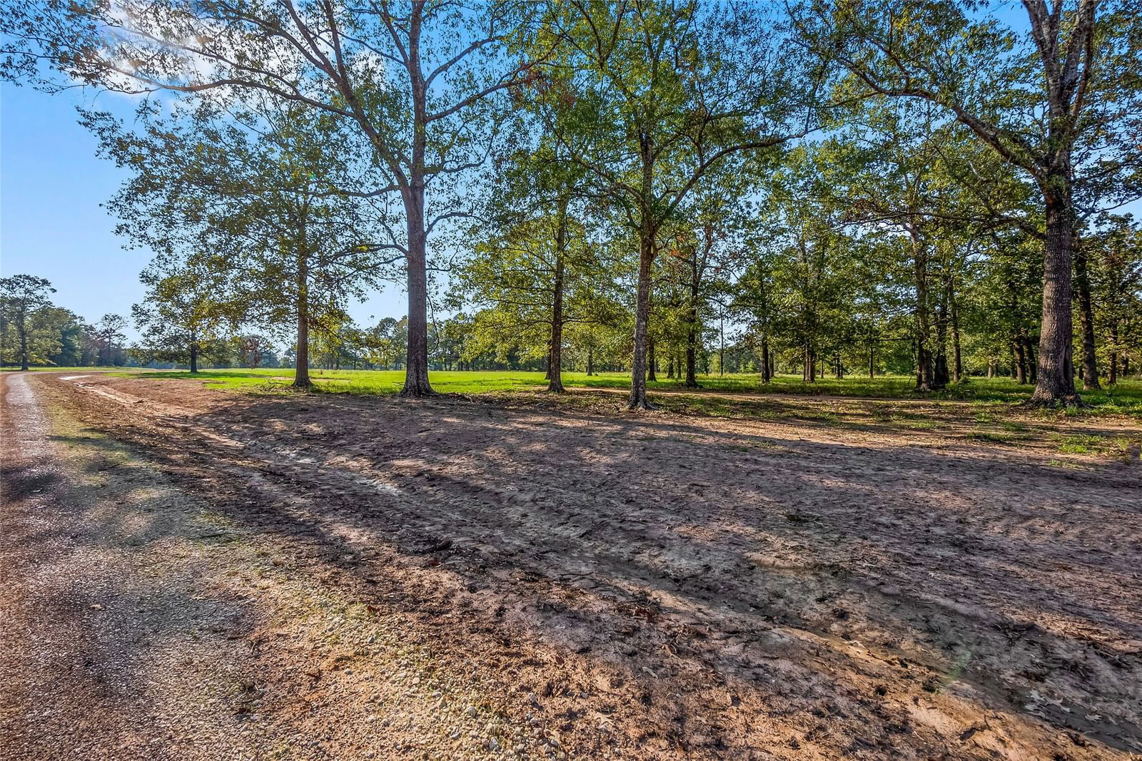 Real estate property located at 6087 Alans Memorial, Montgomery, The Oak Reserve Of Anderson Mize, New Waverly, TX, US