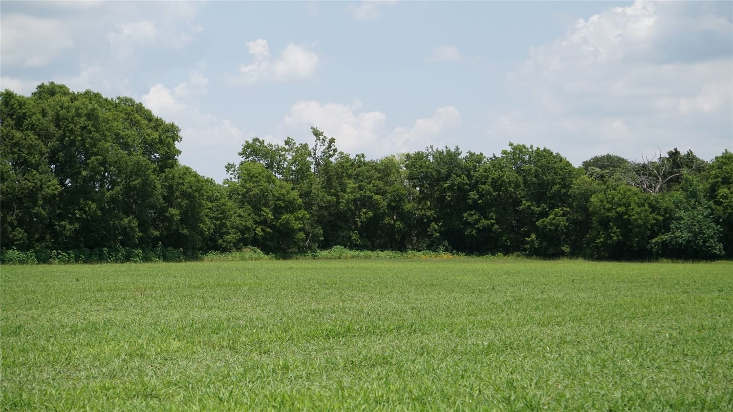 Real estate property located at 940 Cr 328, Burleson, Caldwell, TX, US