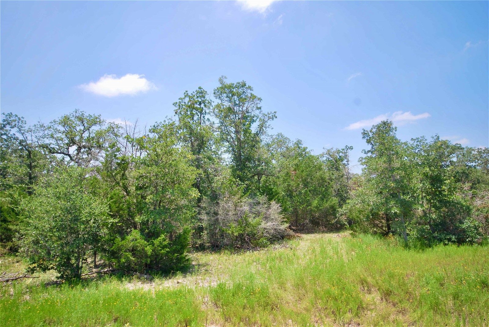 Real estate property located at 2874 County Rd 397, Gonzales, Moulton, TX, US