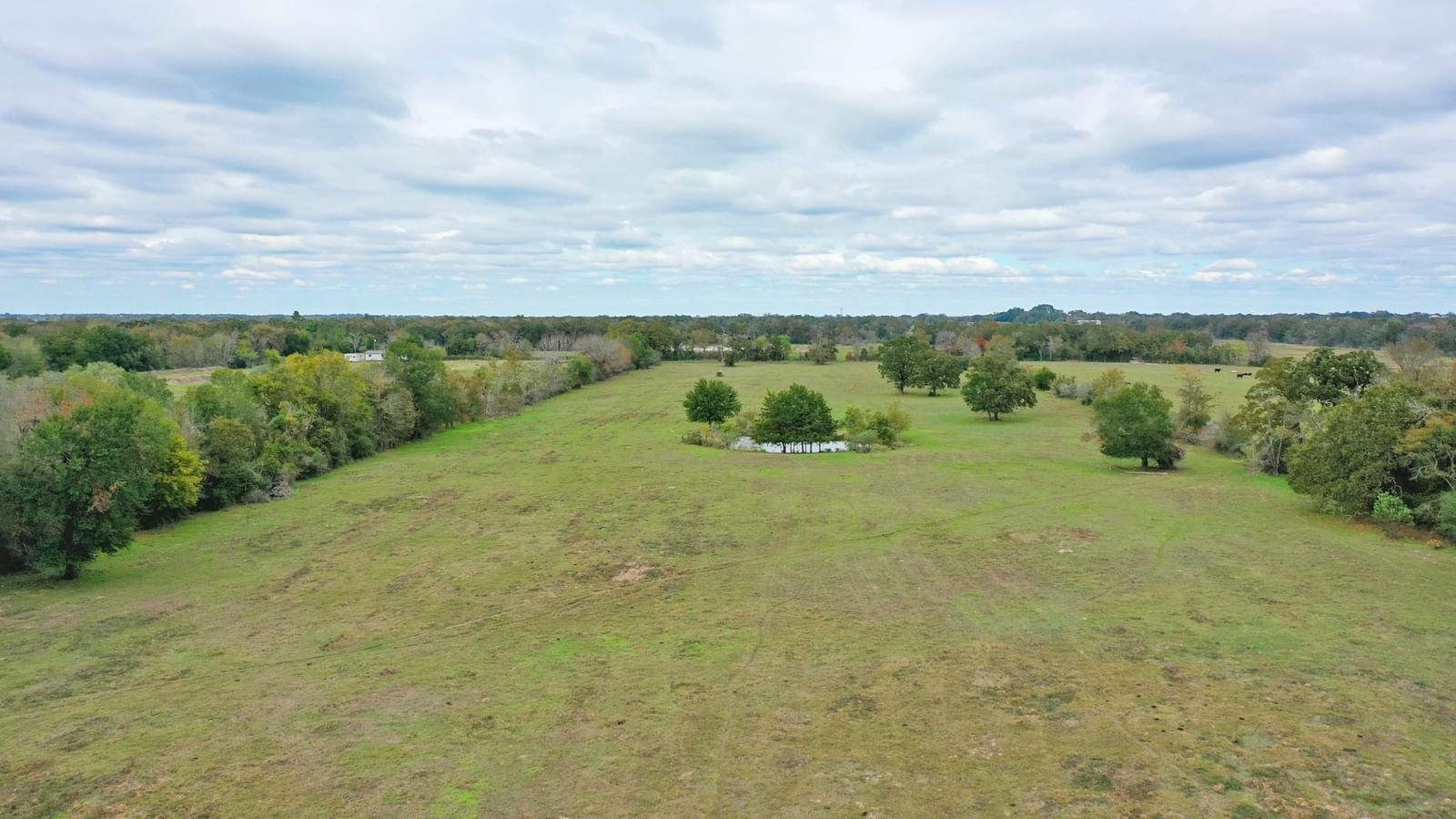Real estate property located at 25 AC Grant, Madison, NA, North Zulch, TX, US