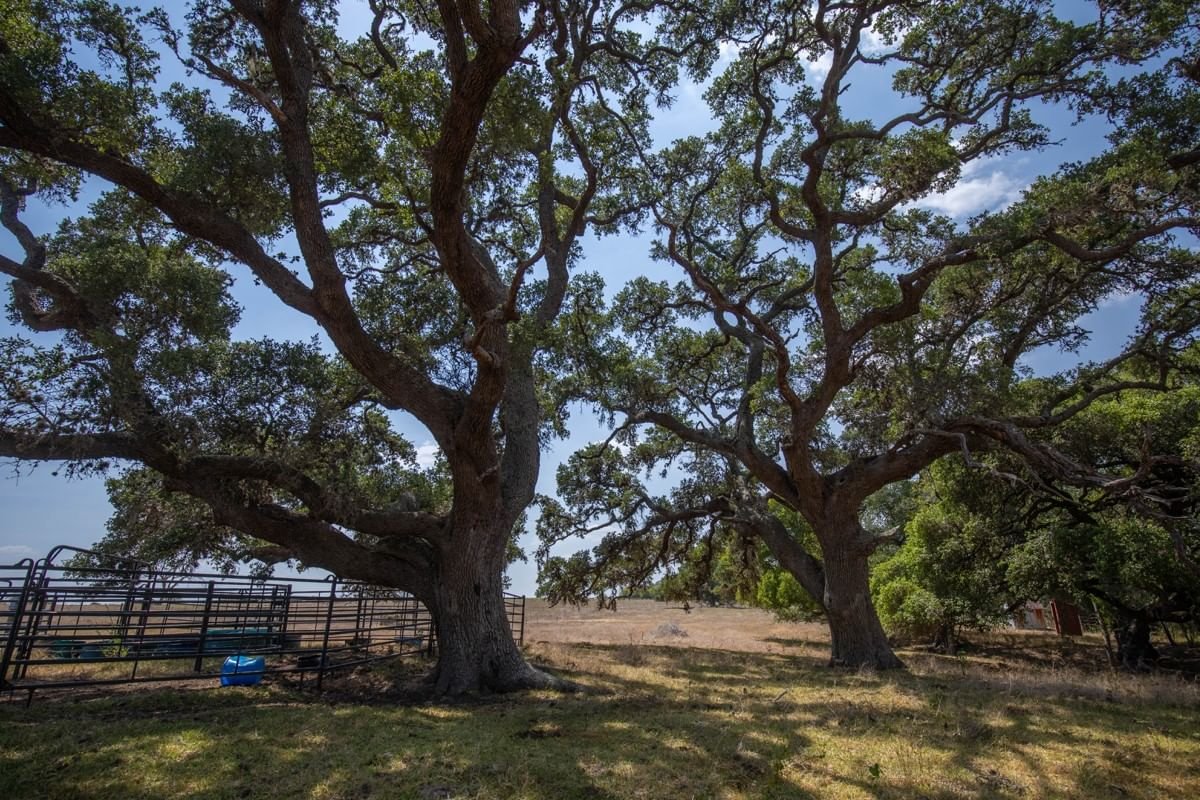 Real estate property located at 494 County Road 217c, Lavaca, NA, Hallettsville, TX, US