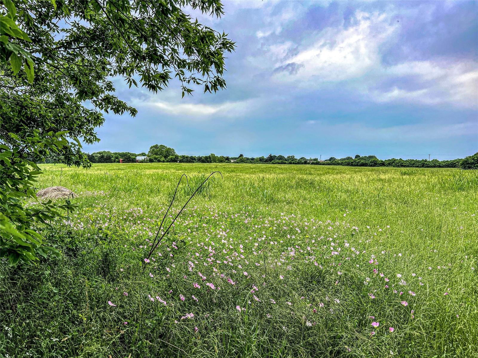 Real estate property located at 0 Schroeder RD, Washington, Porch Swing Plantation, Brenham, TX, US