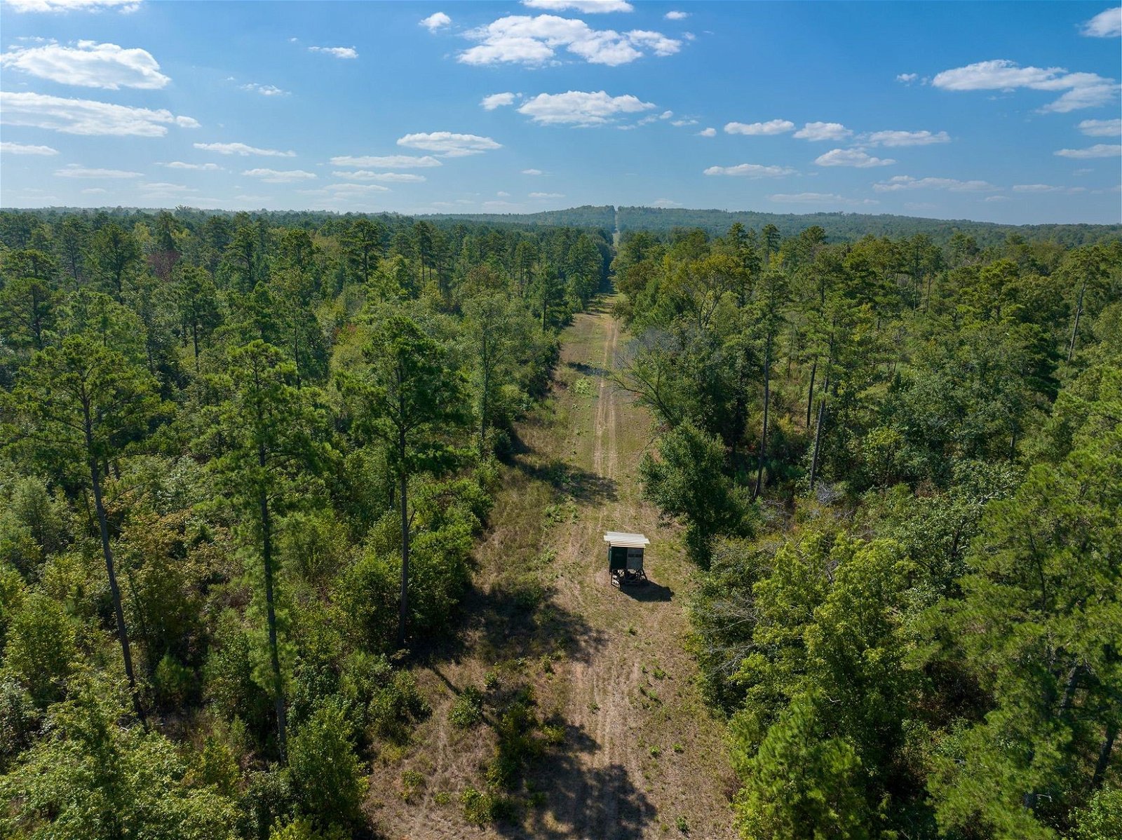 Real estate property located at TBD County Rd 3163, Rusk, Jp Falcon Surv A-10, Laneville, TX, US