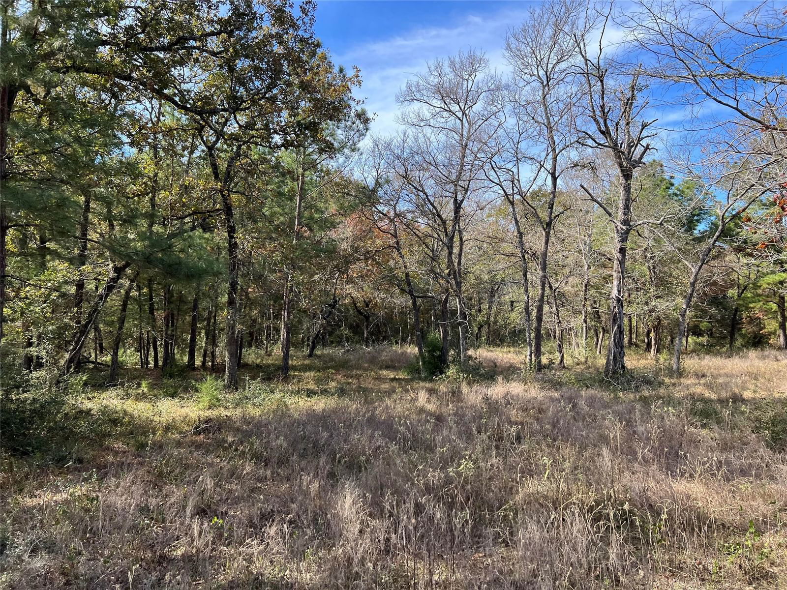 Real estate property located at 0 County Road 446, Grimes, BlackJacks, Navasota, TX, US