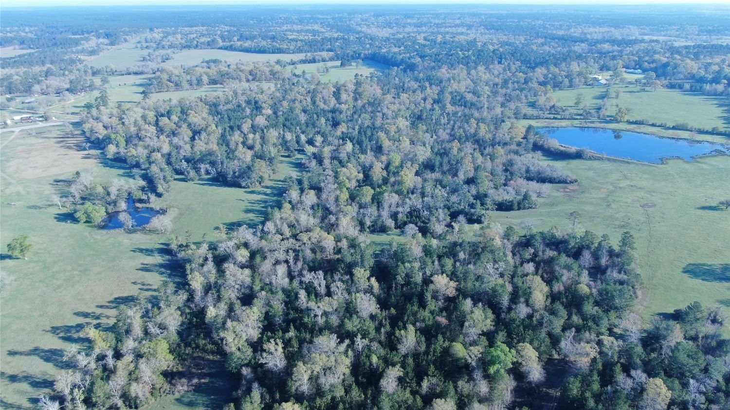 Real estate property located at TBD HIGHWAY 150, San Jacinto, Vital Flores Grant Abs #14, Coldspring, TX, US