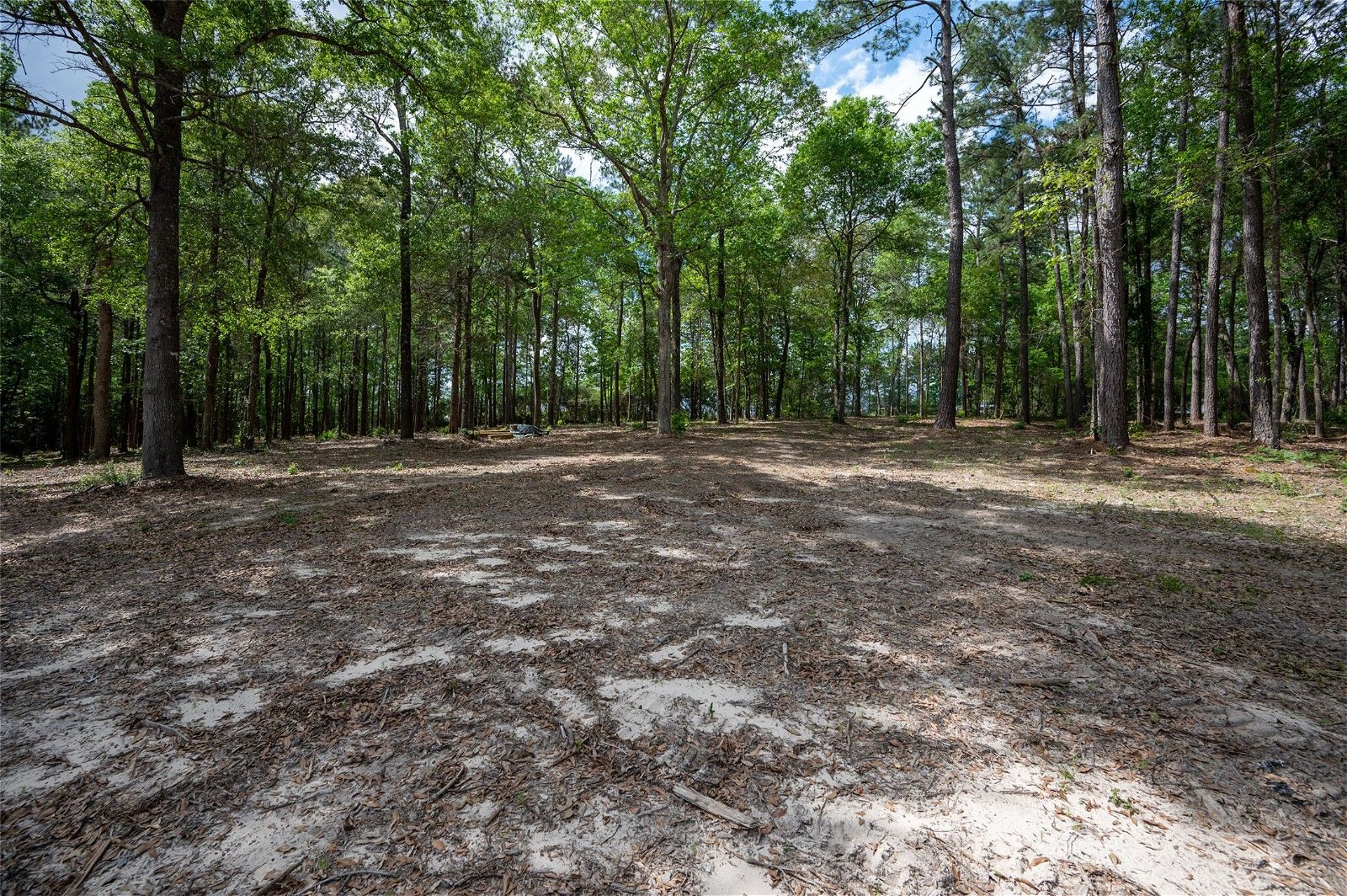 Real estate property located at tbd Hwy 190, Tyler, Woodville, TX, US