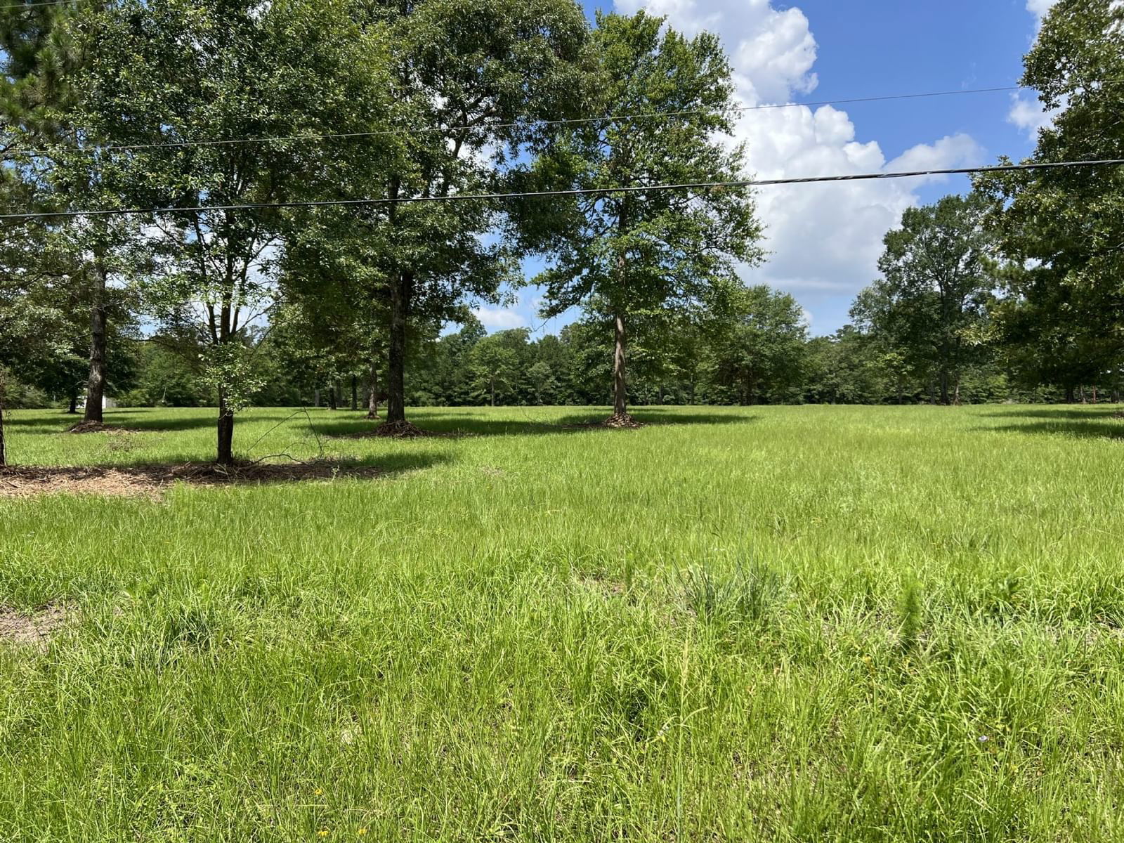 Real estate property located at 643 Hawkins, Polk, J M Renfro Surv A-511, Livingston, TX, US