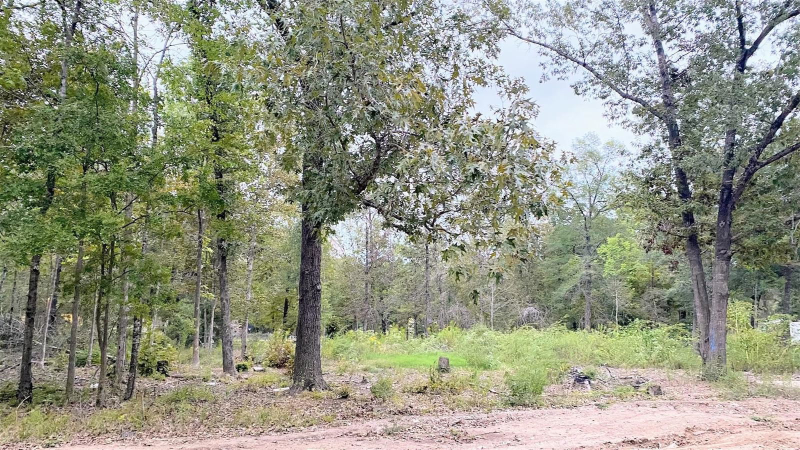 Real estate property located at TBD Panther, Polk, Mangum Estates Sec 1, Livingston, TX, US