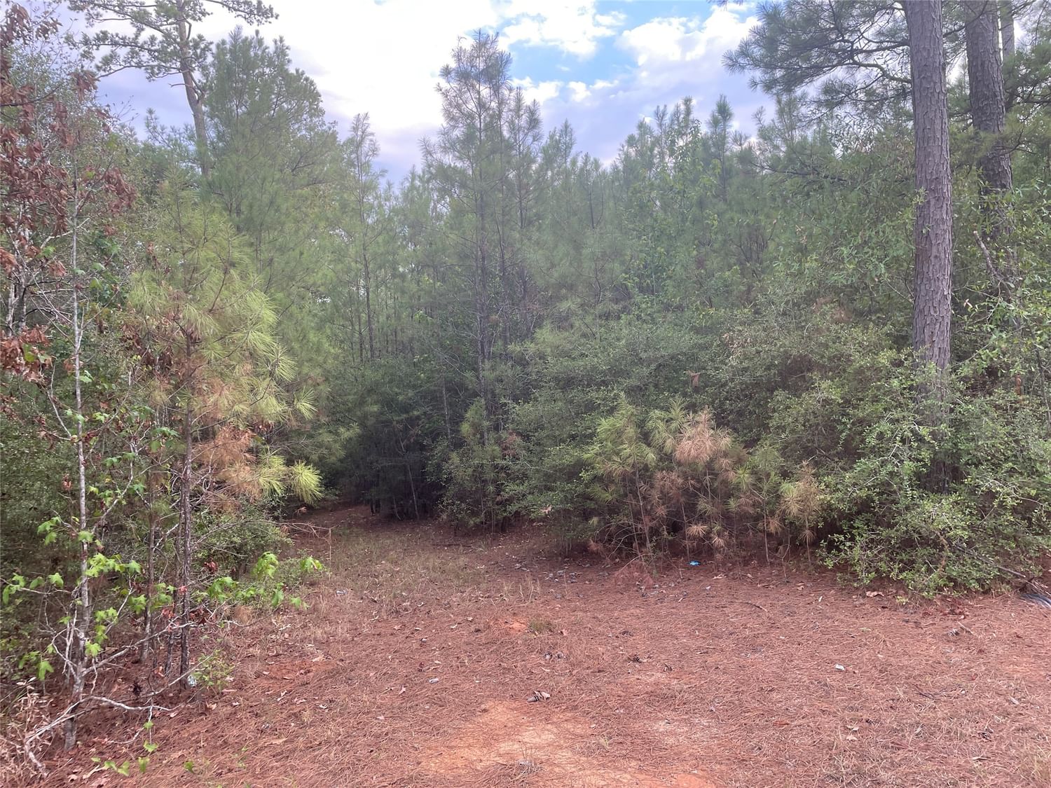 Real estate property located at 620 Sugar Hill, Polk, Livingston, TX, US