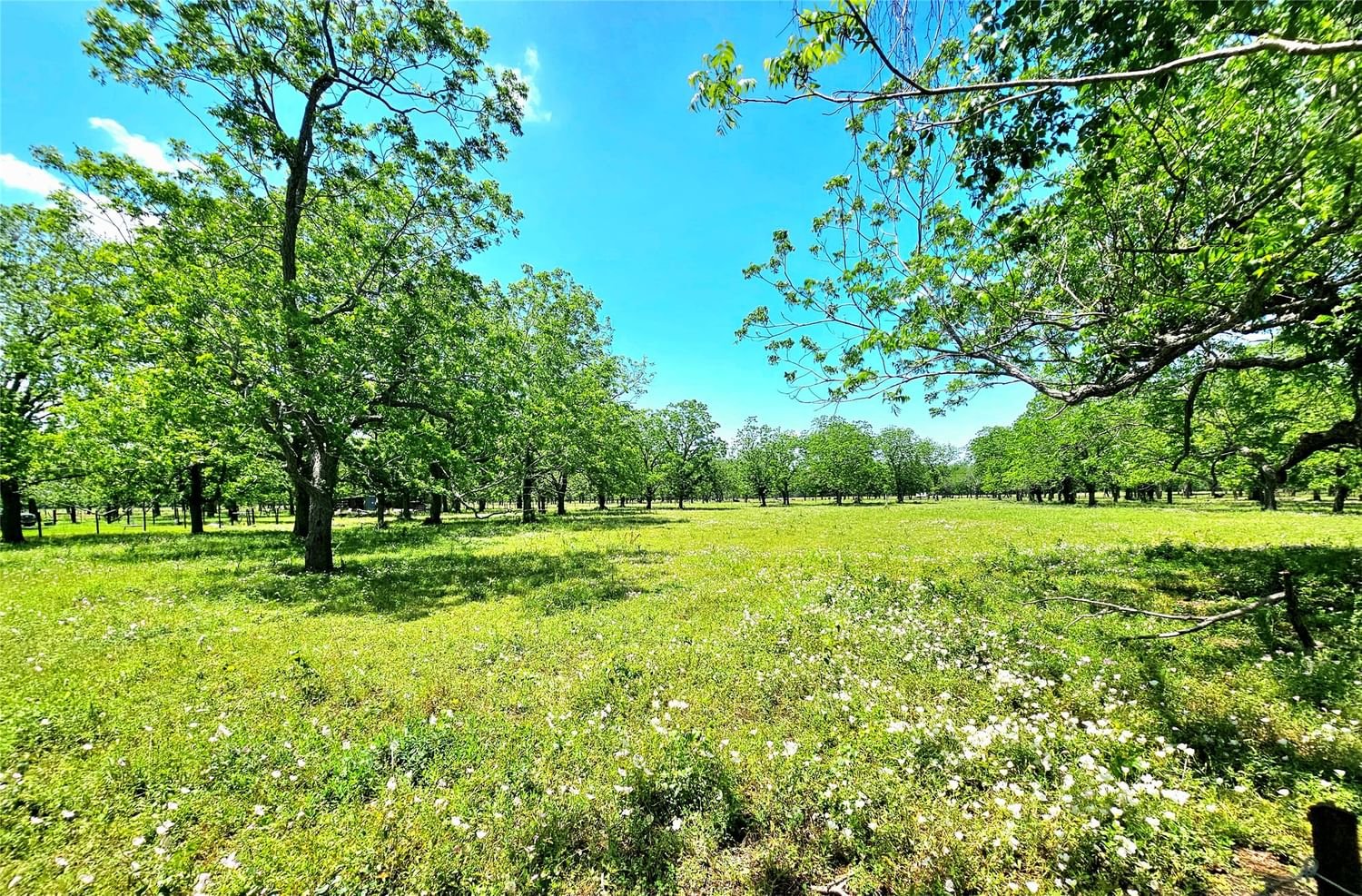 Real estate property located at 0 CR 153, Wharton, River Glen, Boling, TX, US