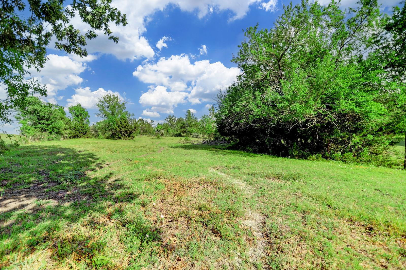 Real estate property located at 0 CR 208, Grimes, 0, Navasota, TX, US