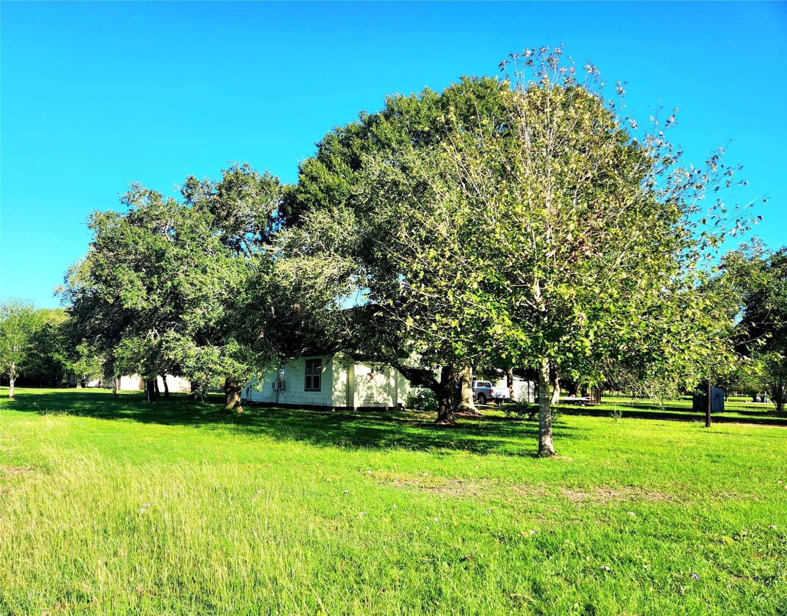Real estate property located at 11920 Dannhaus, Fort Bend, Needville, TX, US