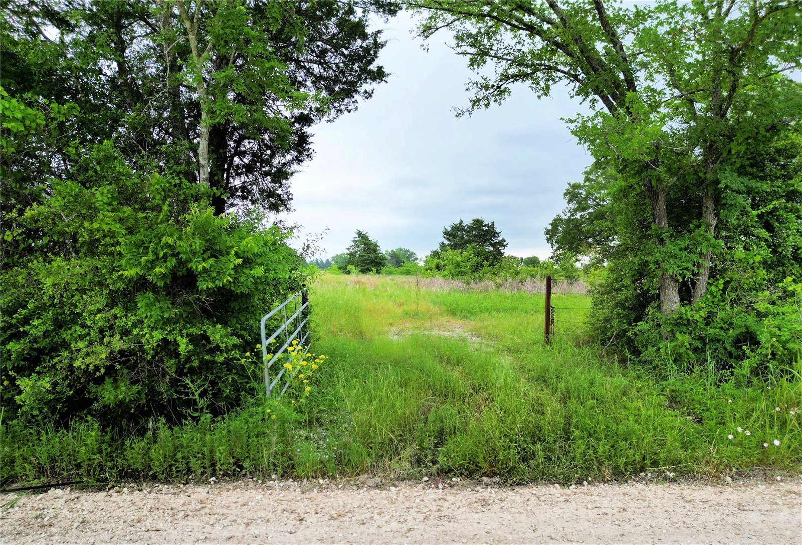 Real estate property located at 3484 Hackett Branch, Madison, Midway, TX, US