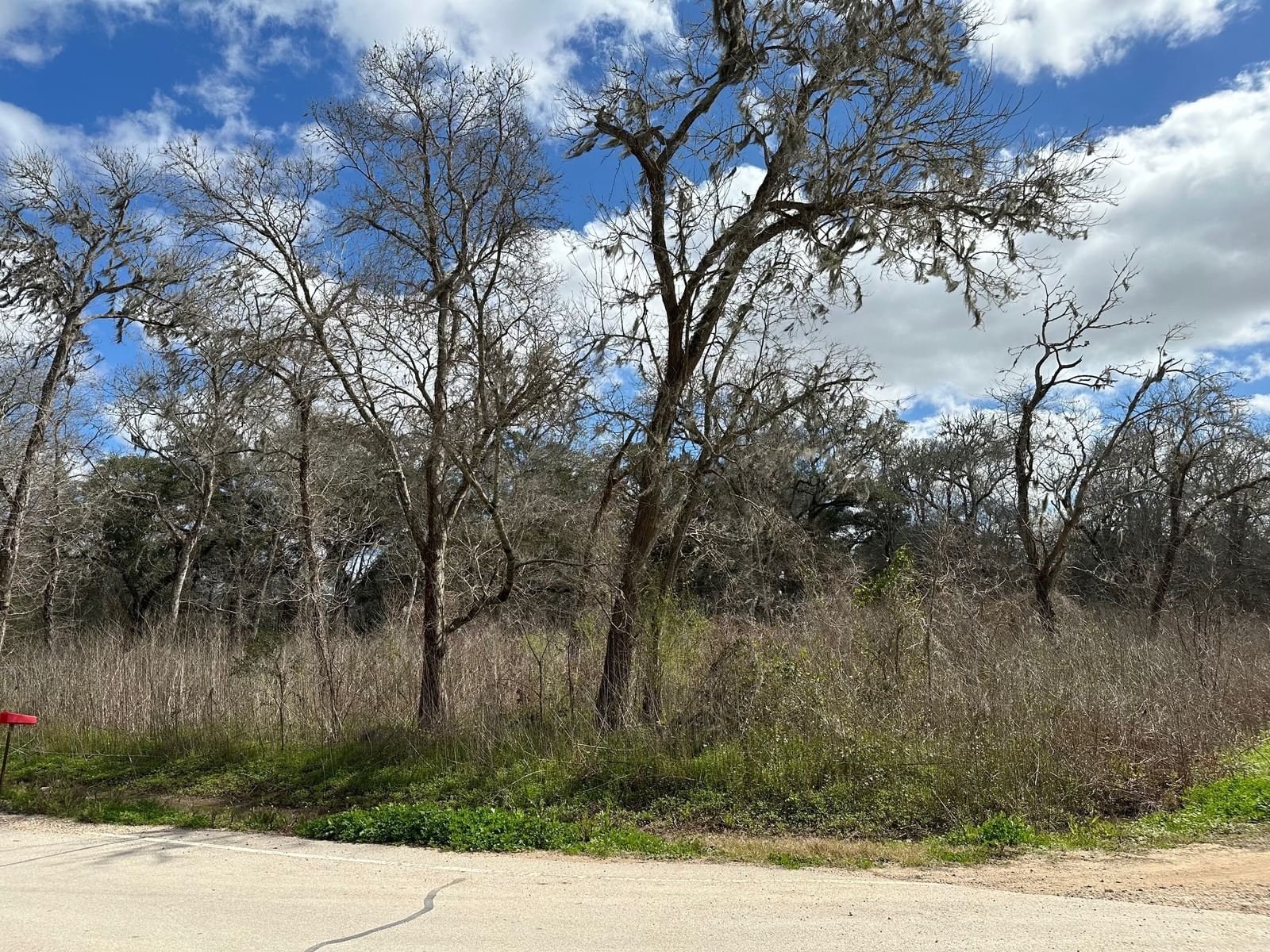 Real estate property located at 0 Forest, Brazoria, Brazos Bend, Angleton, TX, US