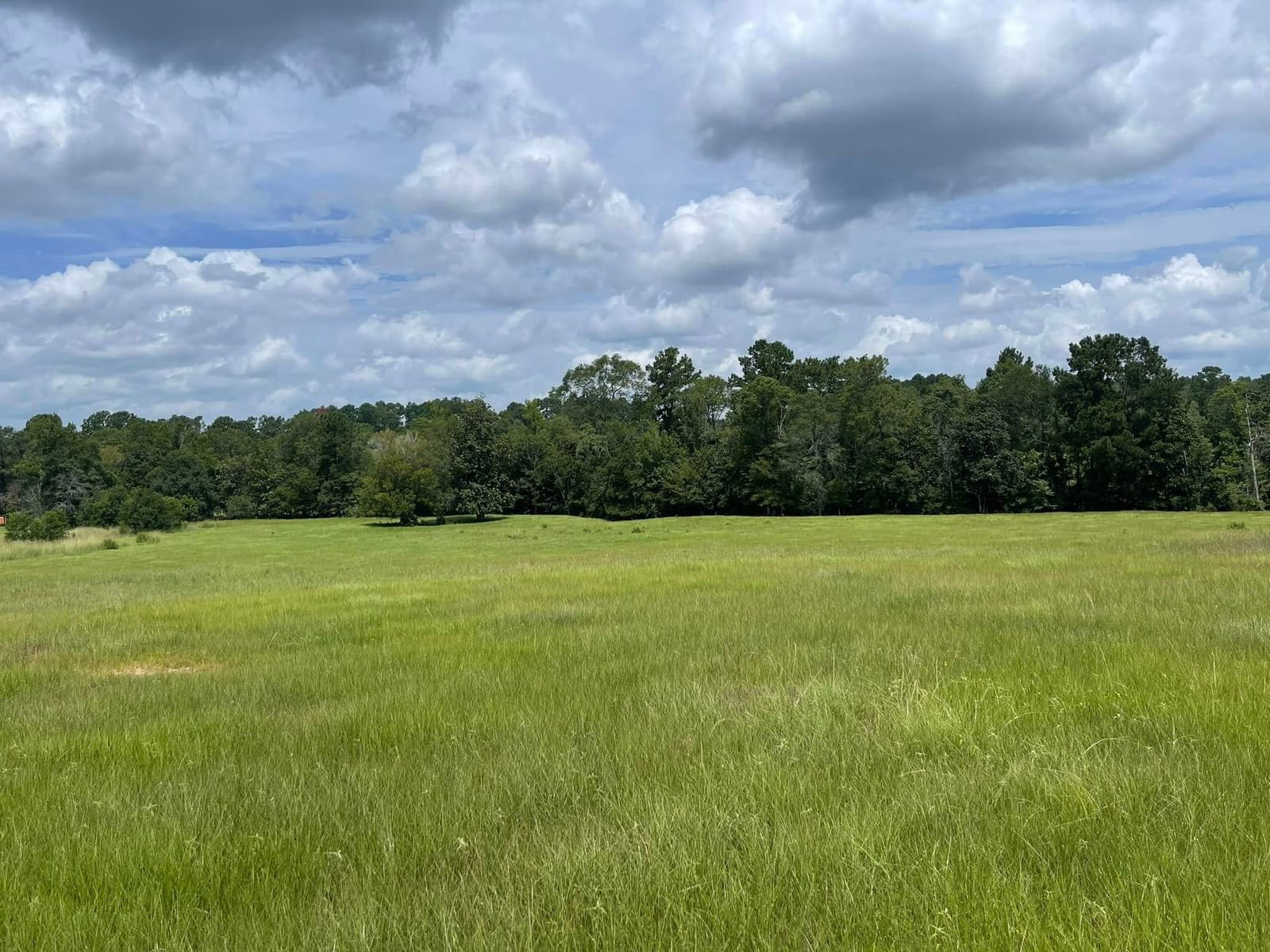 Real estate property located at TBD Lakeland Ranch Lot 267, Tyler, Lakeland Ranch, Hillister, TX, US