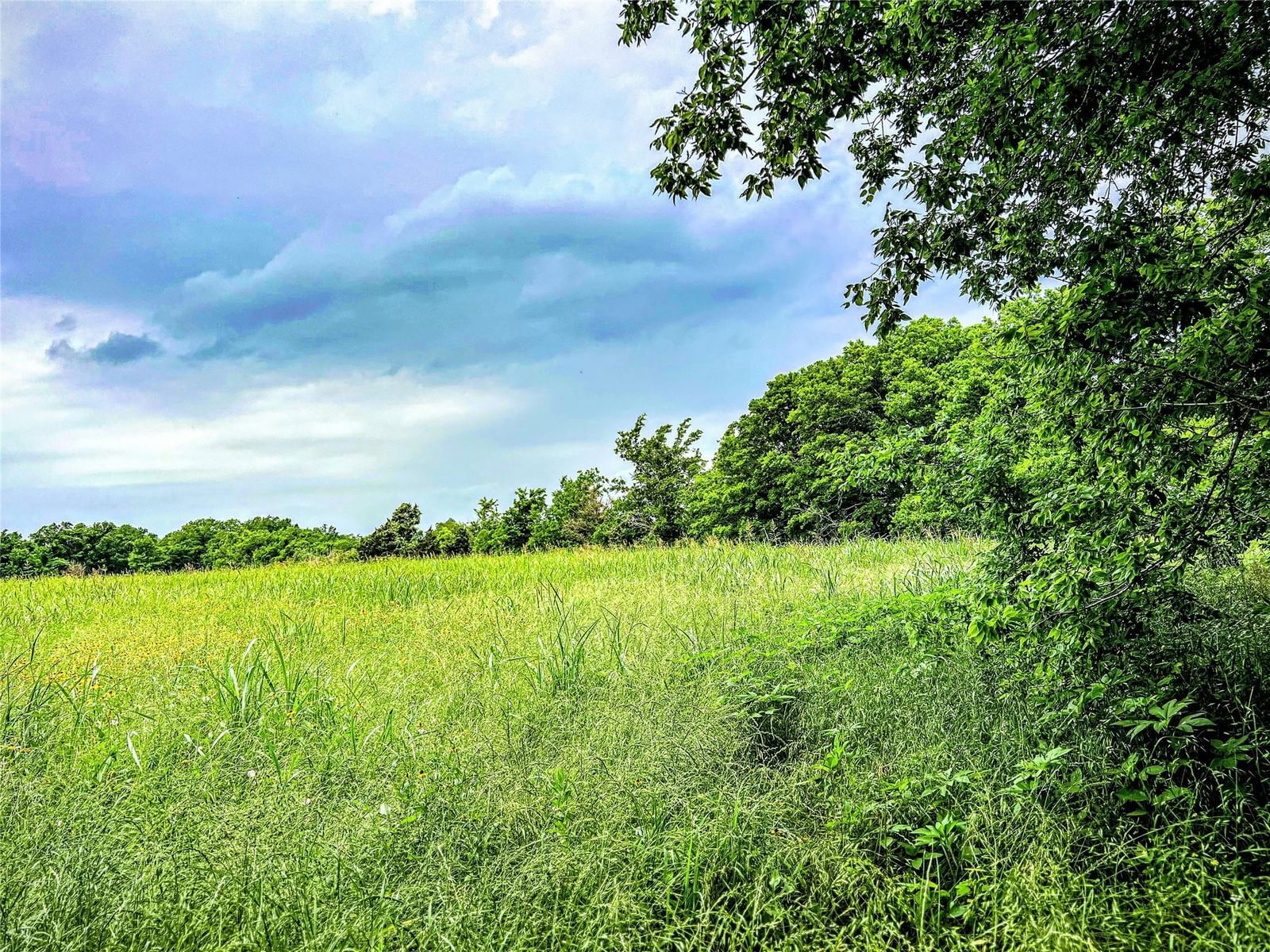 Real estate property located at 00 Old Phillipsburg Road, Washington, Porch Swing Plantation, Brenham, TX, US