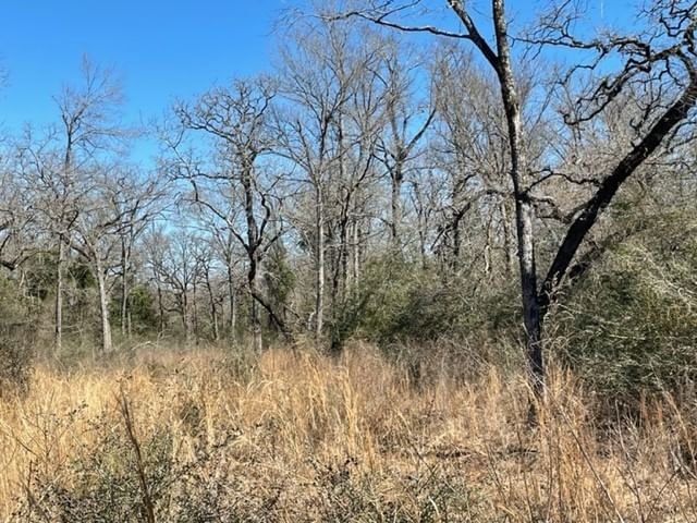 Real estate property located at TBD County Road 317, Leon, Centerville, TX, US
