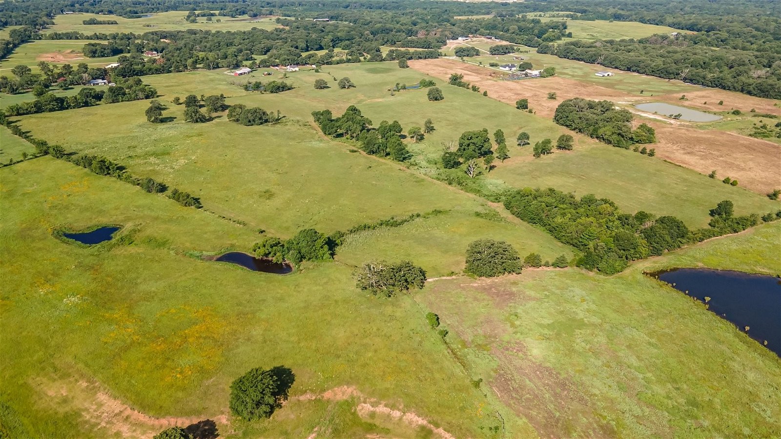 Real estate property located at TBD Vz County Road 1905, Van Zandt, Fruitvale, TX, US