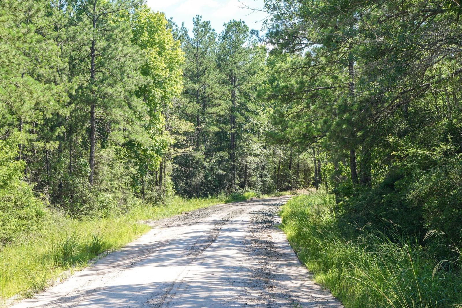 Real estate property located at TBD 2 County Rd 3900, Tyler, NA, Colmesneil, TX, US