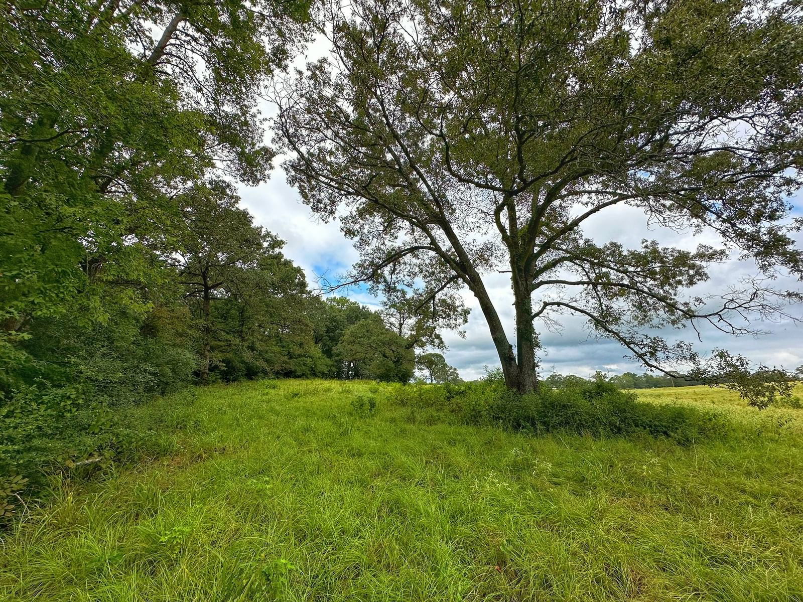 Real estate property located at 5 ac CR 231, Leon, Haley Creek Farms, Centerville, TX, US