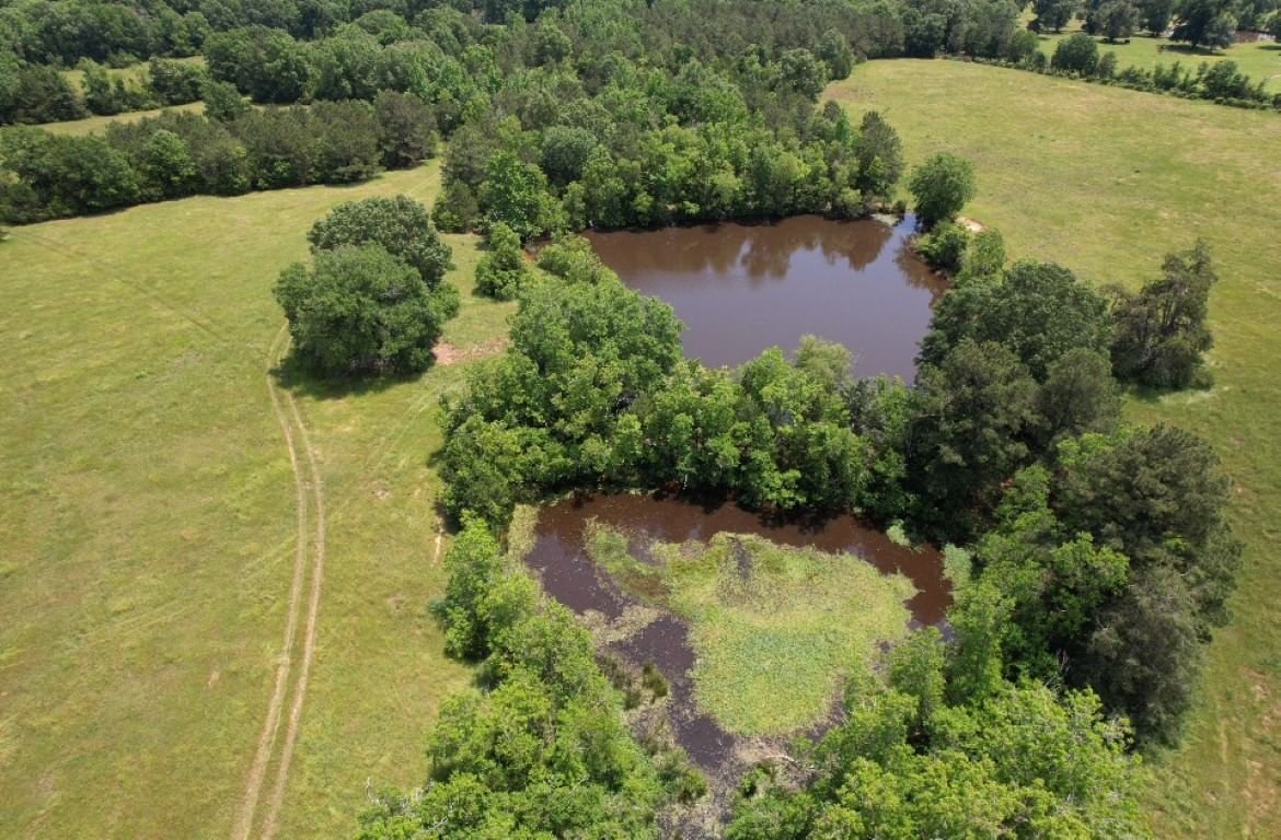 Real estate property located at TBD-B COUNTY ROAD 4653, Shelby, NA, Tenaha, TX, US