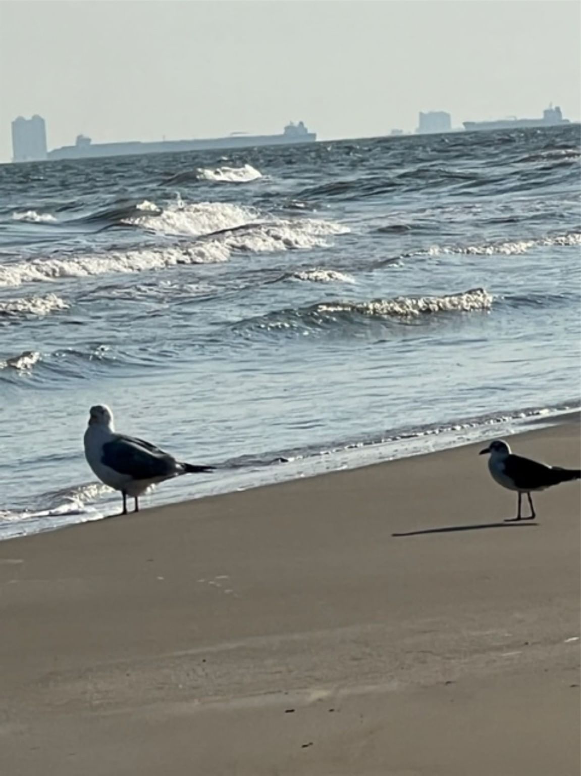 Real estate property located at Lot 29 Rettilon, Galveston, Port Bolivar, TX, US