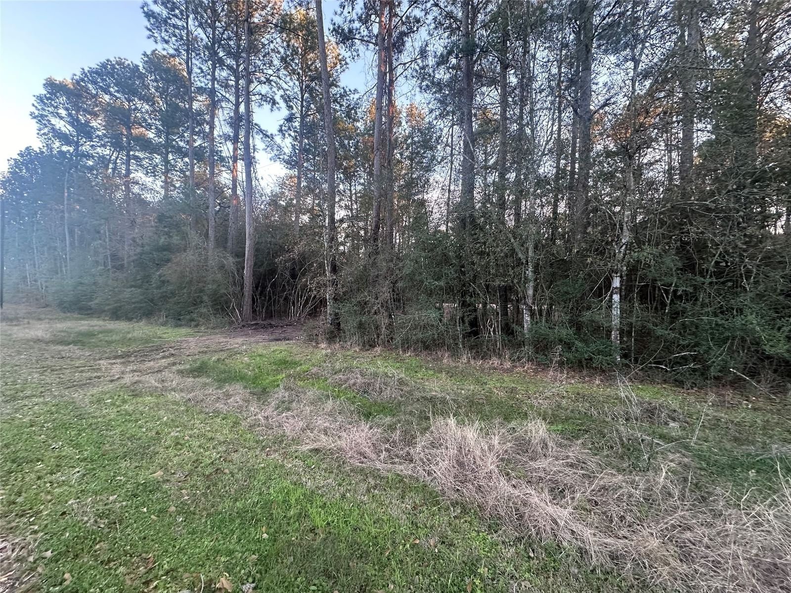 Real estate property located at 0 Pecan, Grimes, W Magnolia Forest Sec 10, Plantersville, TX, US