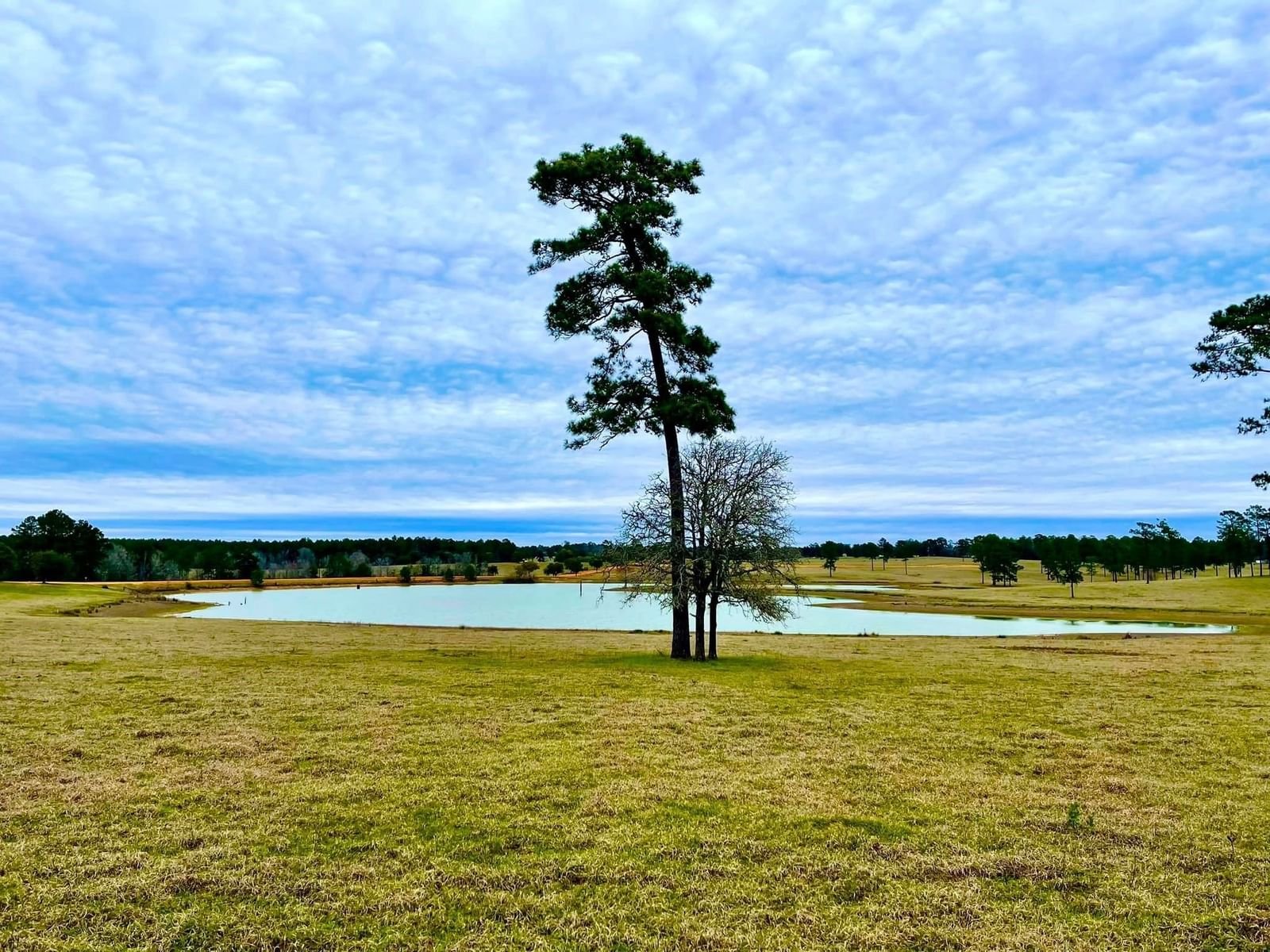 Real estate property located at TBD Lakeland Ranch Lot 235, Tyler, Lakeland, Hillister, TX, US