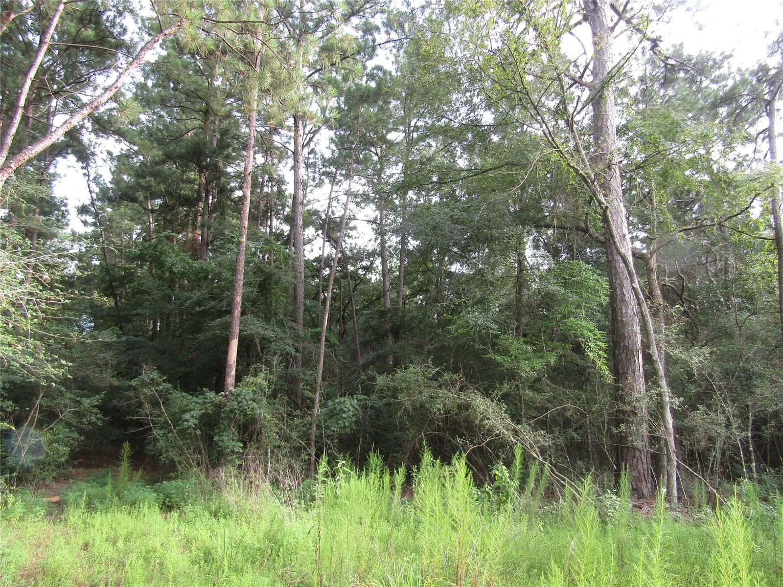 Real estate property located at 2.53 Acres Hackberry, Grimes, Pinebrook, Plantersville, TX, US