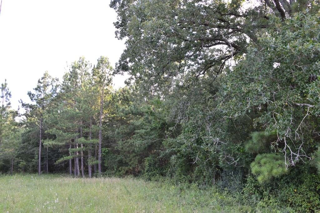 Real estate property located at 10182 County Road 208, Grimes, Anderson, TX, US