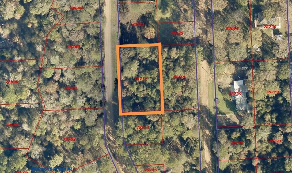 Real estate property located at lot 4 Friar Tuck, San Jacinto, Sherwood Forest #3, Shepherd, TX, US