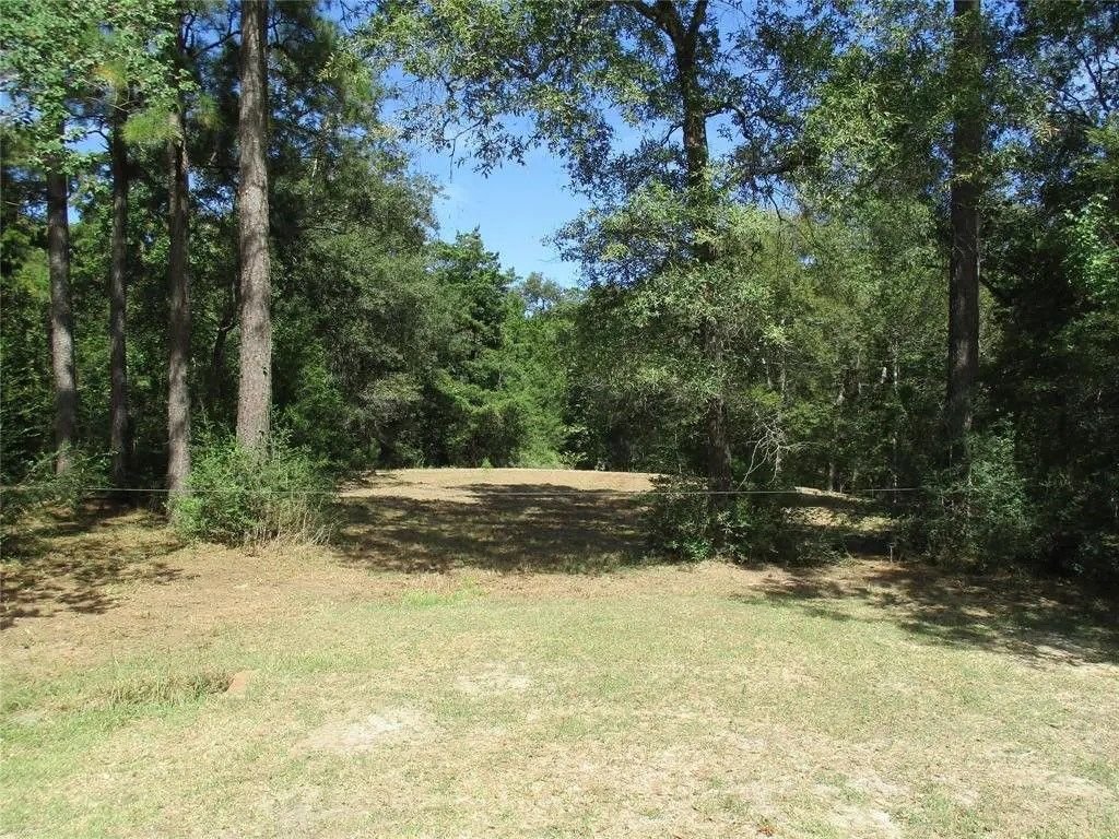 Real estate property located at Lot 8 Apache, Chambers, Wallisville, TX, US
