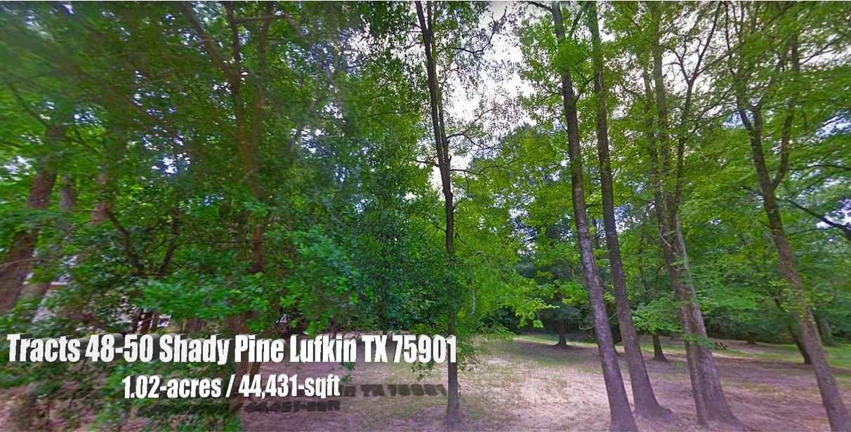 Real estate property located at Tracts 48-50 Shady, Angelina, MASSINGALL G. W. JR, Lufkin, TX, US
