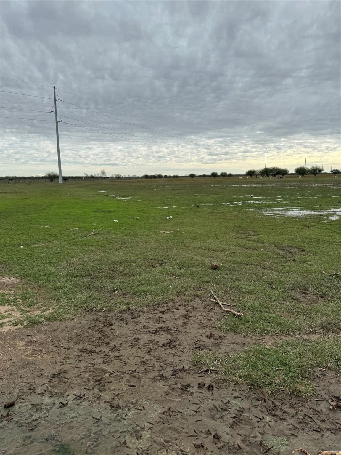 Real estate property located at 000 Fm 1887, Waller, N/A, Hempstead, TX, US