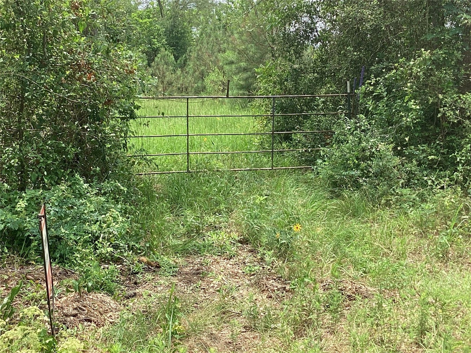 Real estate property located at 0 Fm 358, Trinity, Pennington, TX, US