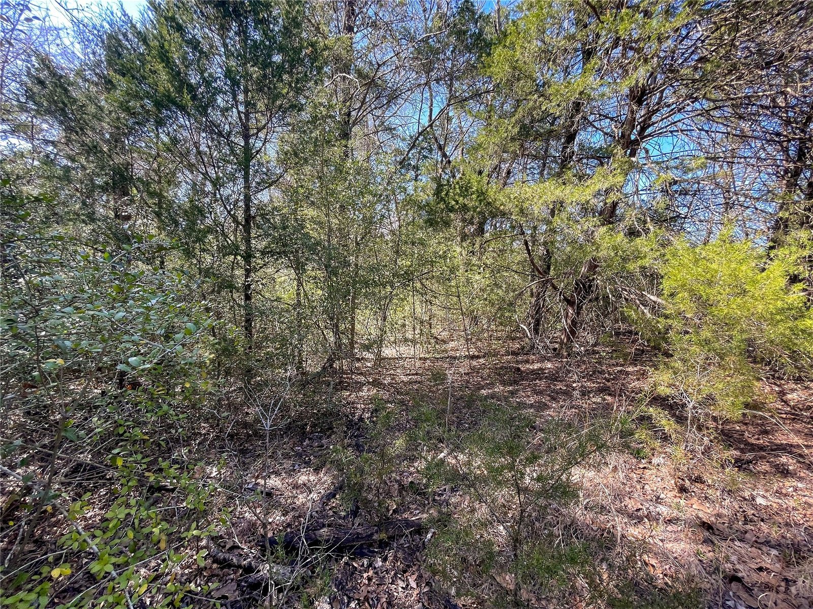 Real estate property located at TBD 11.71 Acres Fm 489, Freestone, Teague, TX, US